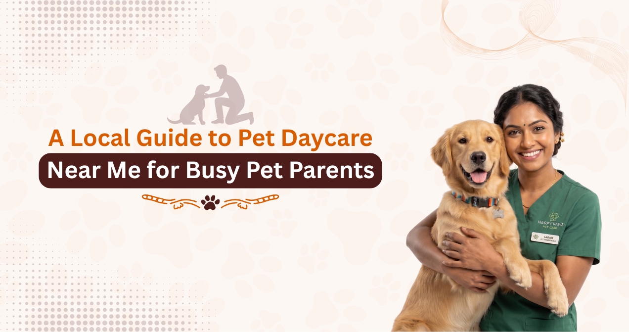 A Local Guide to Pet Daycare Near Me for Busy Pet Parents